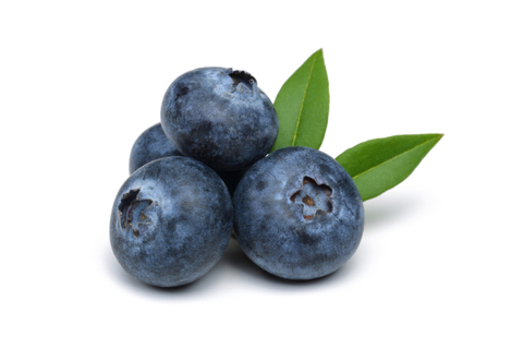 Fresh Blueberries